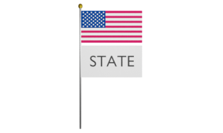 US Flag and Generic State Flag