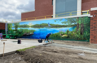 mural of a lake on a wall